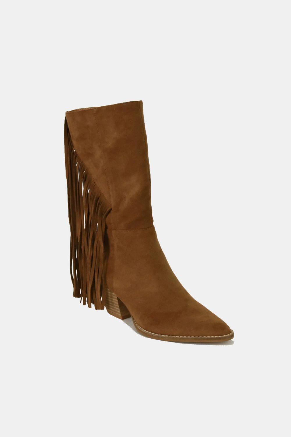 Fringed Suede Pointed Toe Boots